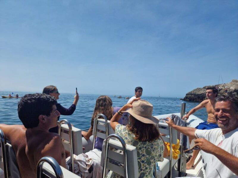 dolphin-watching-sesimbra-arrabida-natural-park