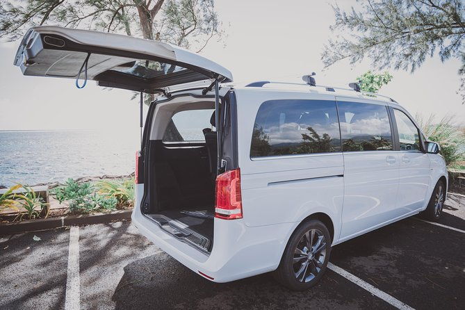 Domestic private transfer, arrival departure, airport hotel cruise rental - Comprehensive Review of Tahiti Private Services’ Domestic Transfers in Papeete