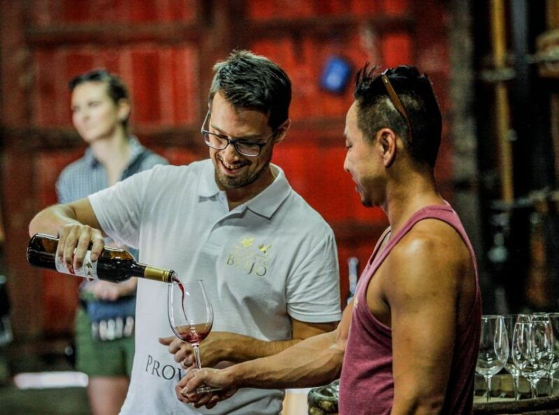 douro-classic-wine-tasting-with-guided-tour