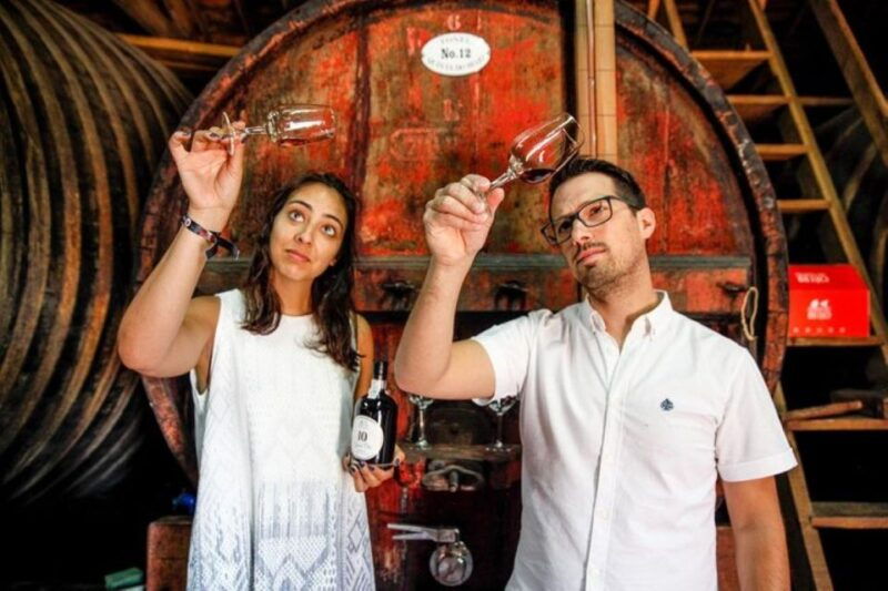 douro-premium-wine-tasting-and-tapas-tour