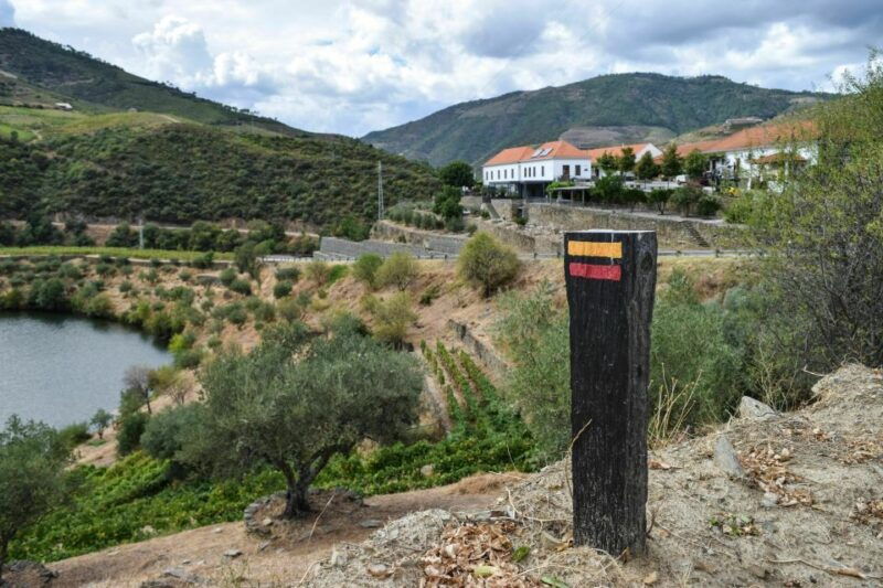 douro-valley-quinta-do-tedo-wine-experience-with-picnic