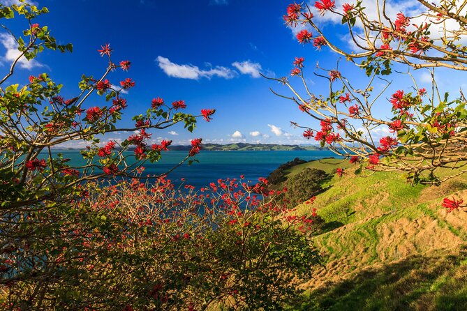 Duder Regional Park Half-Day Walking Tour - Discovering Auckland’s Natural Treasures on a Guided Walk