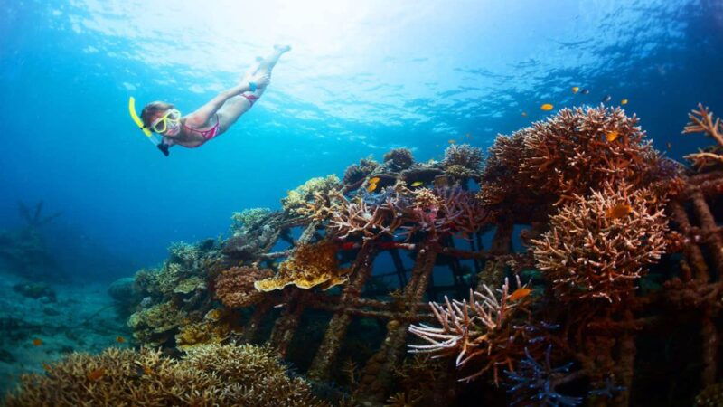 east-bali-snorkeling-canyoning-and-waterfall-day-trip