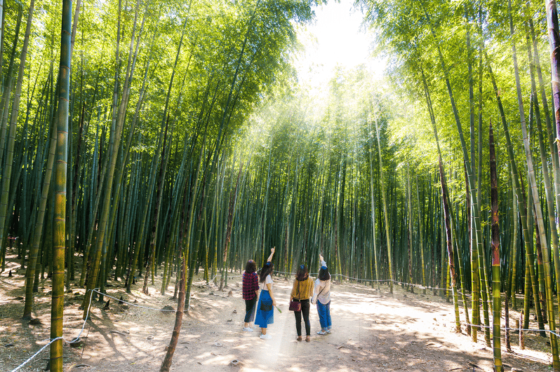 east-busan-small-group-photo-tour-max-7-pax