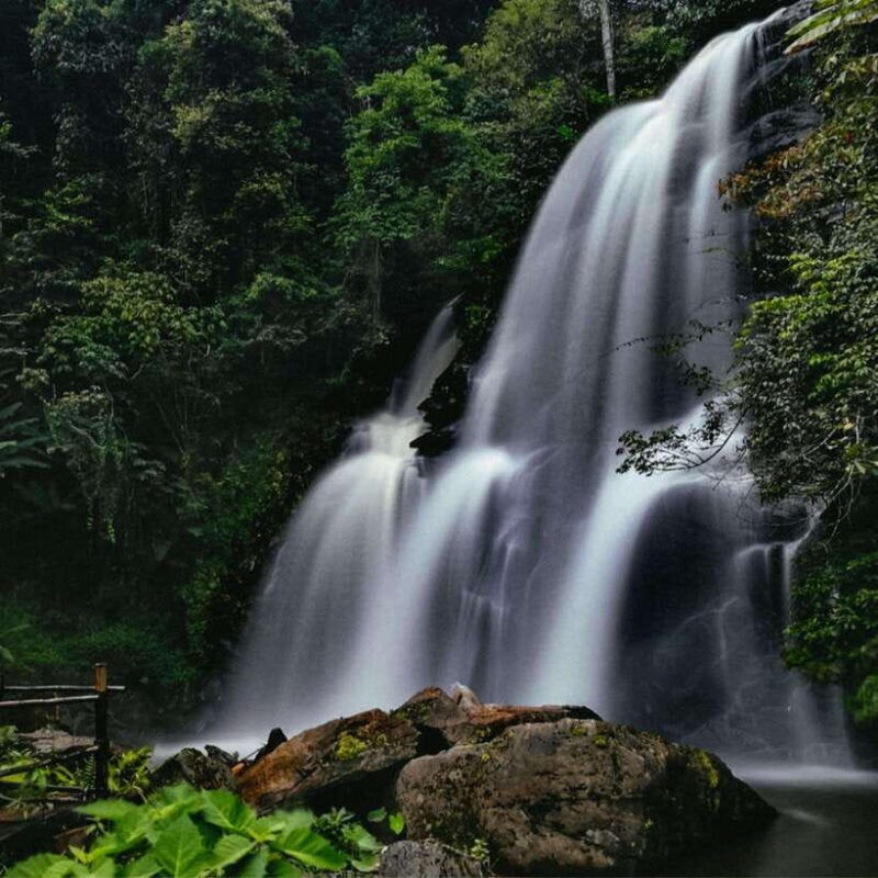 eco-friendly-doi-inthanon-pha-dok-siew-trekking-day-trip