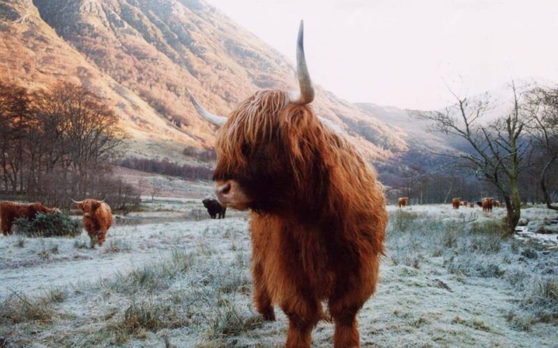edinburgh-3-day-tour-of-the-scottish-highlands-skye