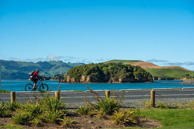 Electric Bike Rental - Electric Bike Rental in Dunedin & The Otago Peninsula: A Complete Guide