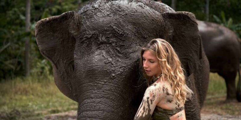 elephant-care-experience-with-mud-bath-at-bali-zoo