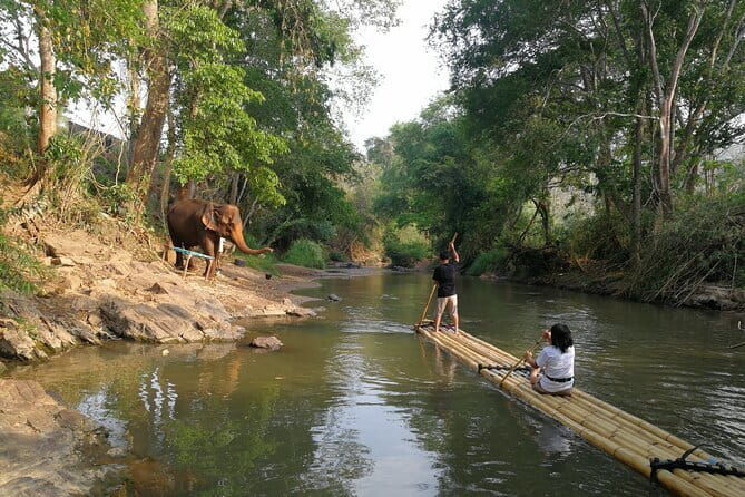 Elephant Sanctuary + Waterfall + Bamboo Rafting One Day Trip - The Itinerary Breakdown: What to Expect