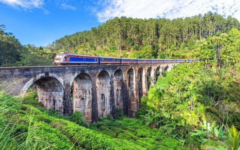 ella-hill-country-tour-a-perfect-day-tour-in-sri-lanka