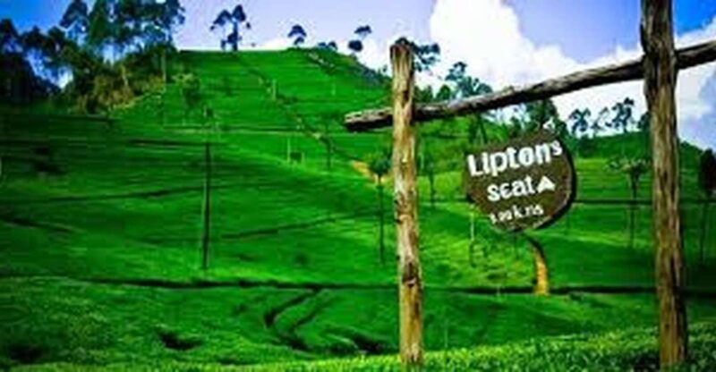 ella-liptons-seat-tea-factory-tea-plantation-day-tour