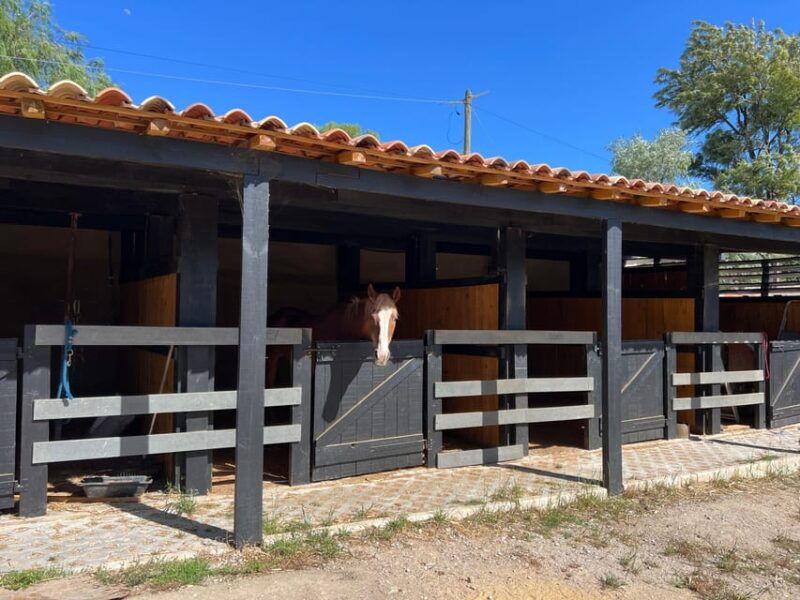 equestrian-tourism-experience