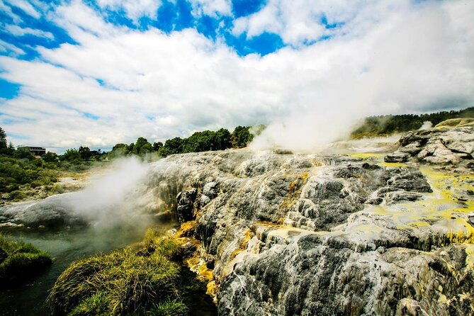 Exclusive Day Trip from Te Puia to Wine Tasting and Redwoods - Detailed Review of the Tour Experience