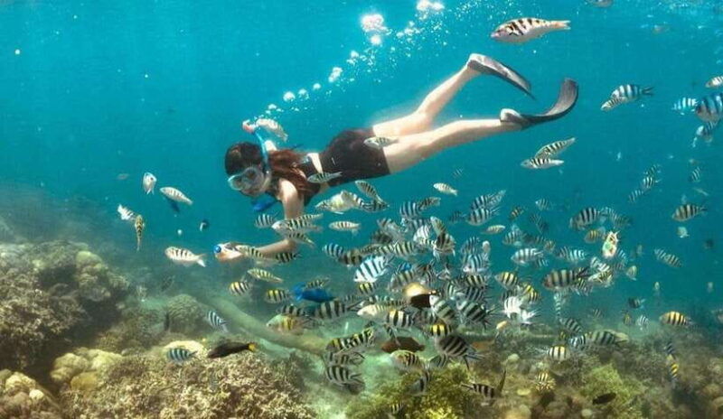 exclusive-gili-nanggu-sudak-and-kedis-tour-featuring-gopro