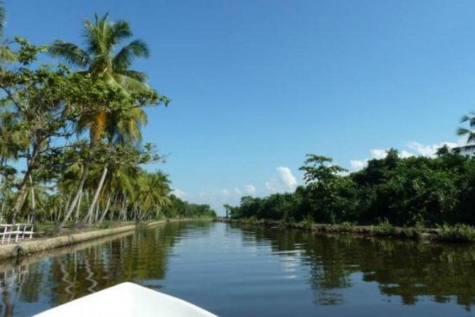 Exclusive : Muthurajawela Bird Watching Tour - Introduction