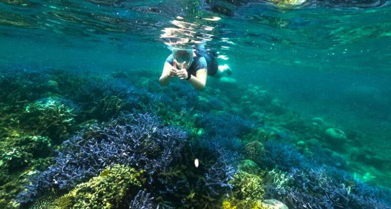 exclusive-snorkeling-experience-to-gili-gede-and-4-gilis