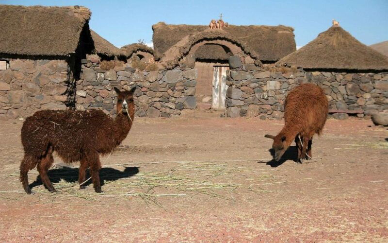 excursion-to-the-chullpas-of-sillustani-mysterious-cemetery