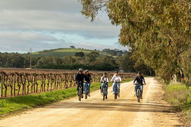 Experience Barossa Valley by E-bike - First Stop: Yalumba
