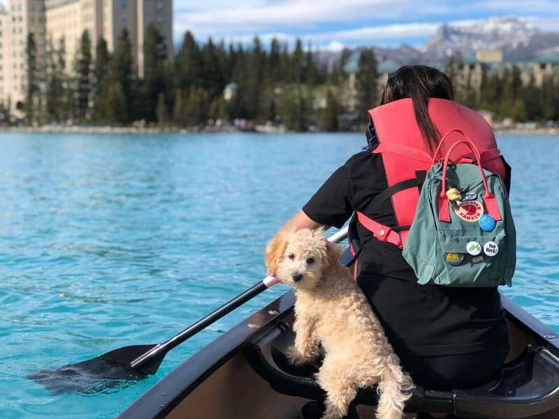 explore-banff-lake-louise-moraine-lake-day-trip-shuttle