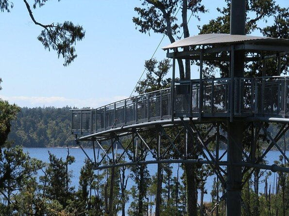Explore Hokitika Gorge and Tree Top Walkway - An In-Depth Look at the Tour Experience