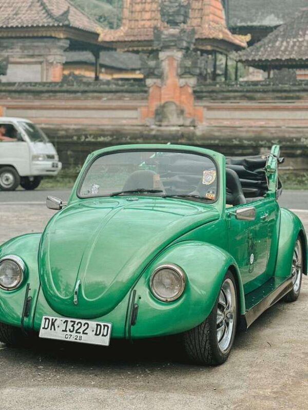 explore-ubud-with-volkswagen-beetle-safari-181