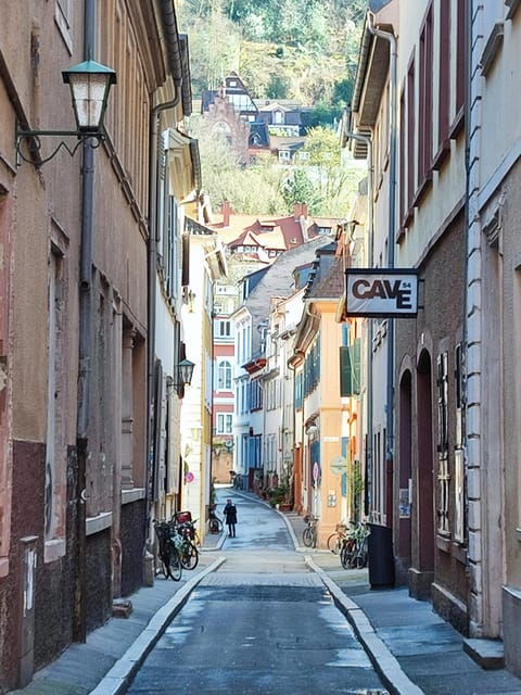 express-tour-of-historic-heidelberg-the-highlights-in-1-h