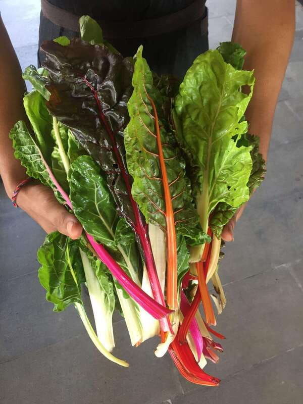 farmers-market-street-food-walking-tour-chef-curated