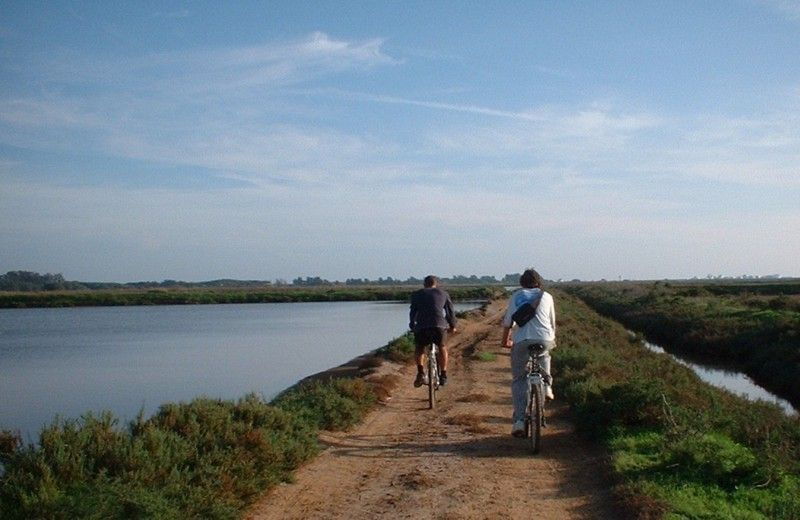 faro-bike-tour-through-the-beautiful-ria-formosa
