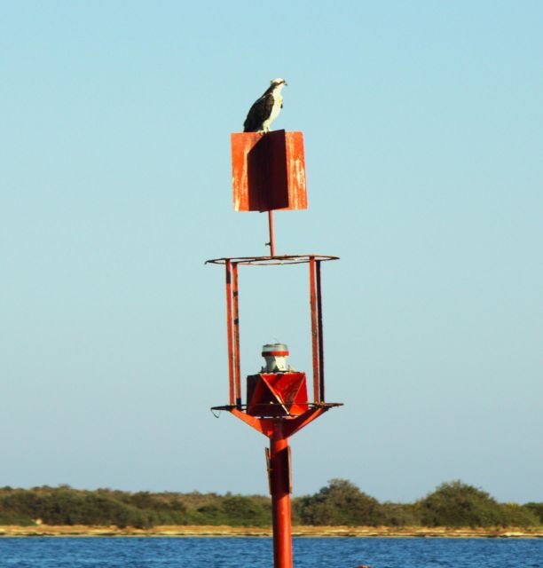 faro-real-pudding-boat-tours-6h-guided-boat-tour-ria-formosa