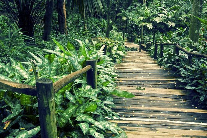 Fiji Local Village, Market, Temple & Garden of Sleeping Giant with Mud Pool Tour - Key Points