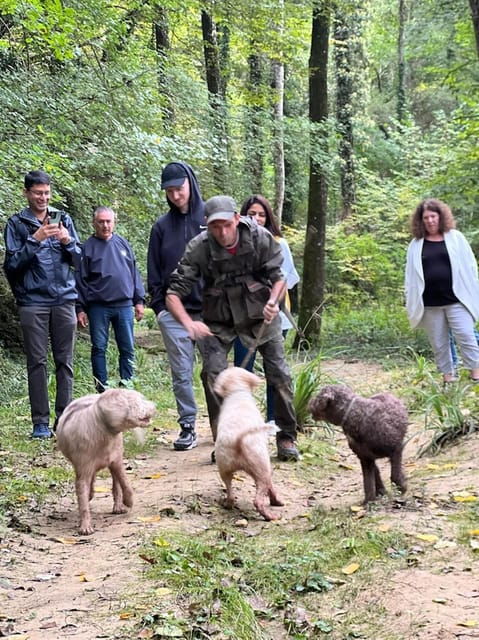 florence-truffle-hunt-san-gimignano-and-chianti-day-trip
