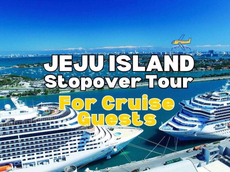 for-gangjeong-seogwipo-cruise-terminal-guests-jeju-tour