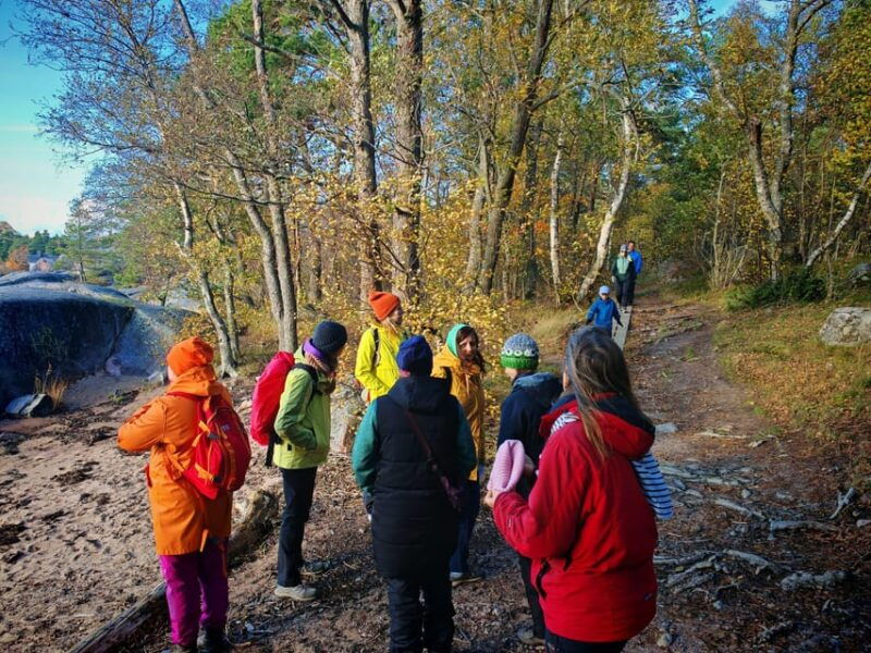 forest-mind-tour-in-tampere