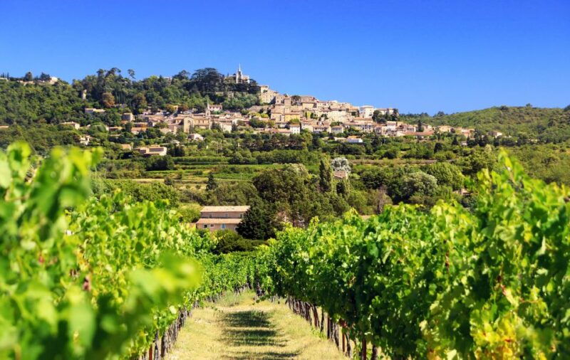 from-aix-en-provence-half-day-wine-tour