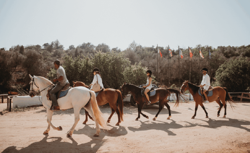 from-albufeira-horse-riding-tour-with-pickup