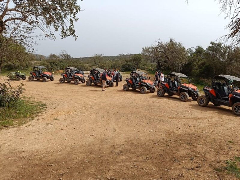 from-albufeira-paderne-adventure-buggy-ride