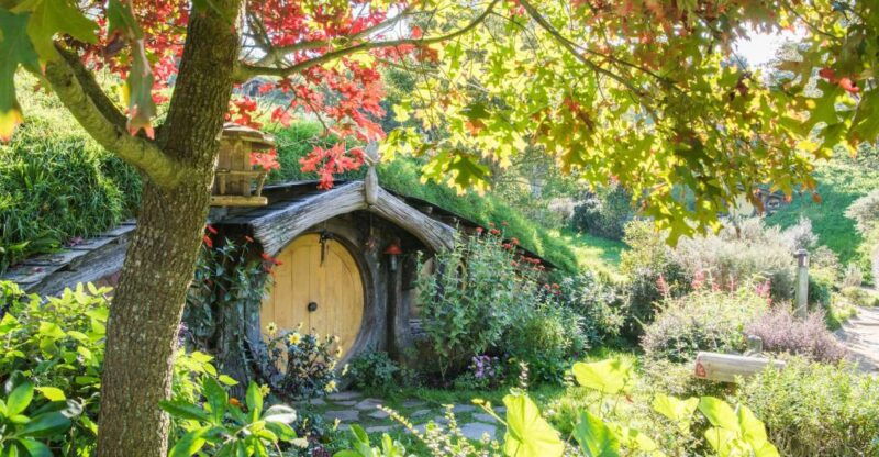 from-auckland-hobbiton-and-waitomo-day-tour-with-lunch