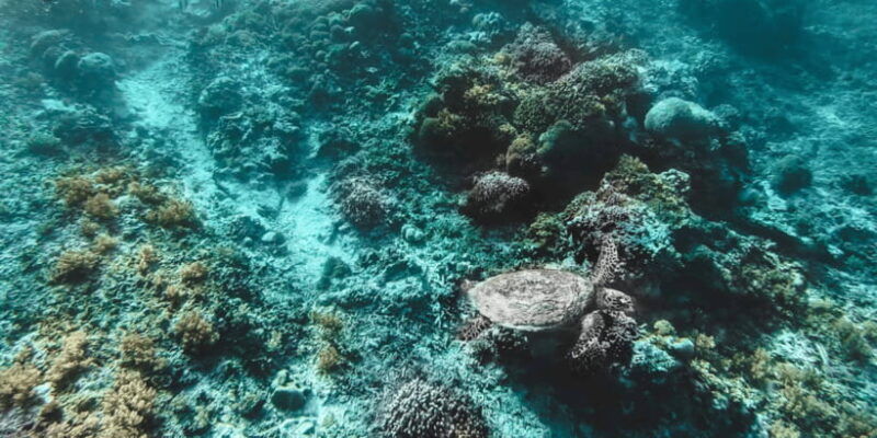 from-bali-2-day-private-gili-island-snorkel-tour-with-hotel