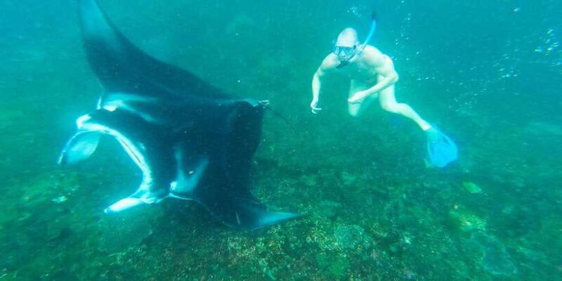 from-bali-nusa-penida-manta-point-snorkeling-and-land-tour