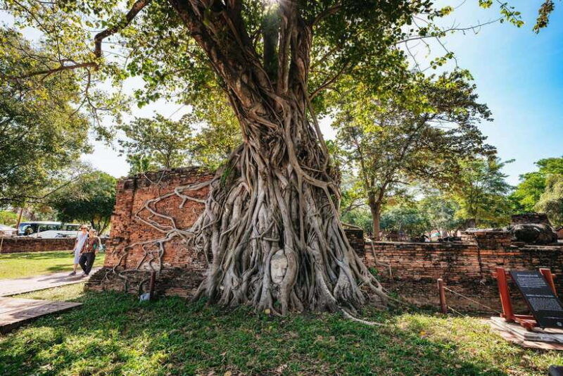 from-bangkok-ayutthaya-temples-guided-tour-with-lunch