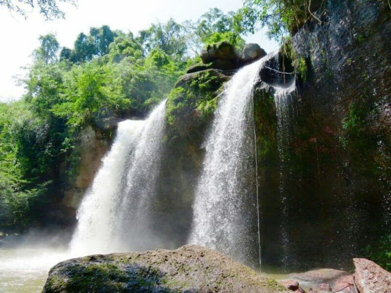 from-bangkok-khao-yai-national-park-jungle-trek-with-lunch