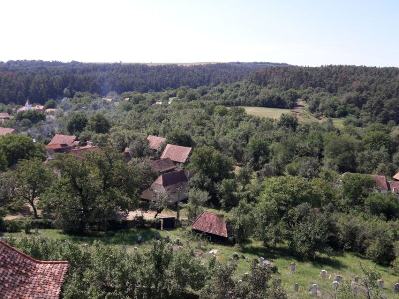 from-brasov-sighisoara-viscri-and-rupea-unesco-day-trip