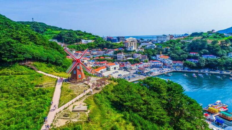 from-busan-enchanting-oedo-island-day-tour-with-windy-hill