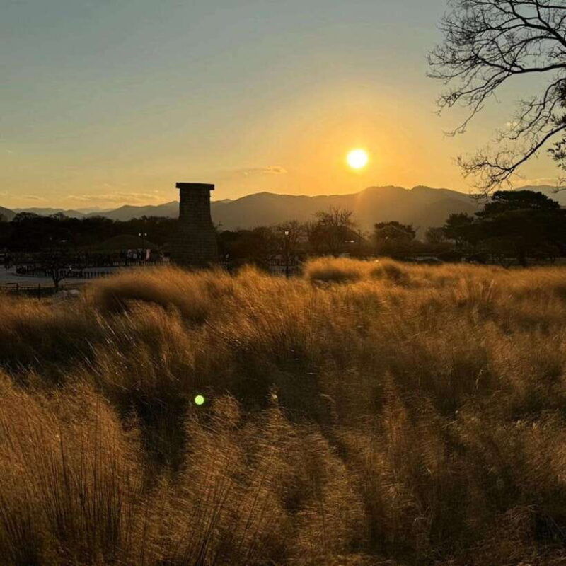 from-busan-full-day-private-customizable-gyeongju-tour