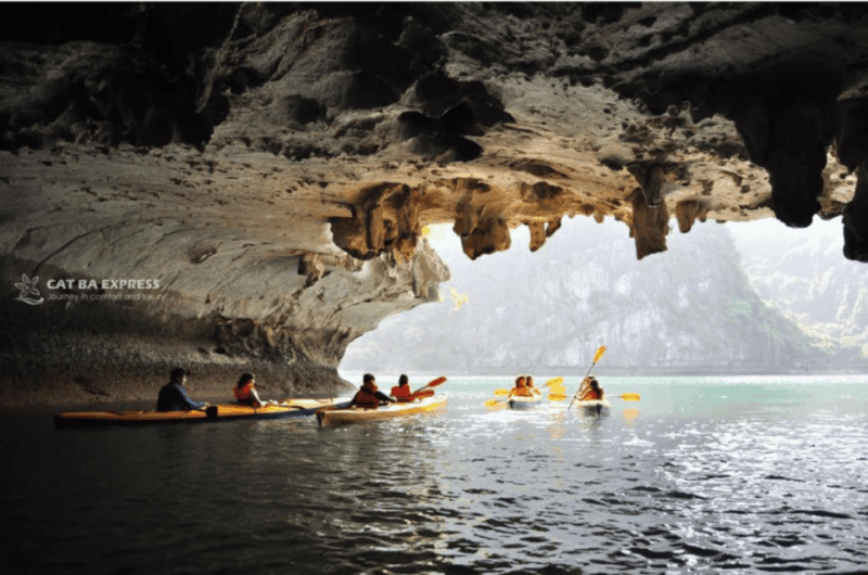 from-catba-lan-ha-bay-on-serenity-premium-cruise