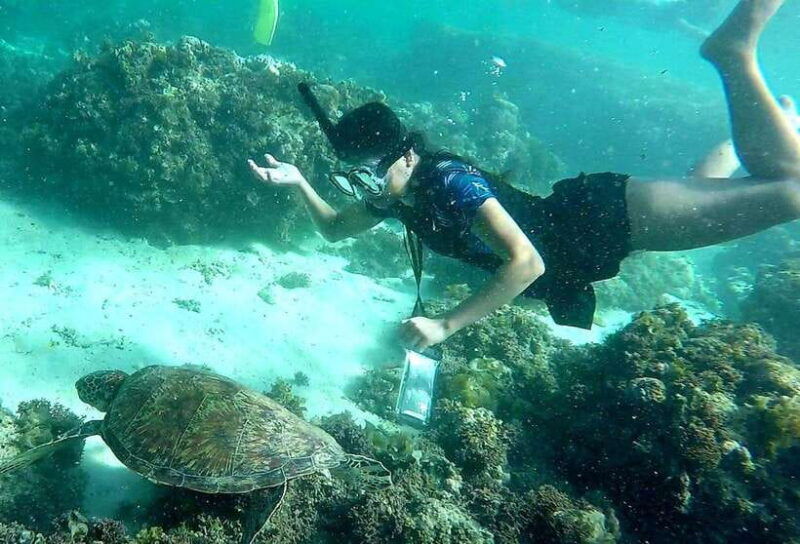 from-cebu-city-moalboal-pescador-snorkeling-tour-lunch