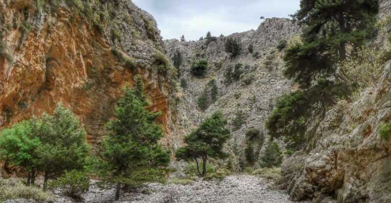 from-chania-almyrida-imbros-gorge-hike