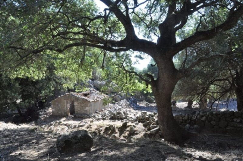 from-chania-imbros-gorge-guided-hike-and-village-visit