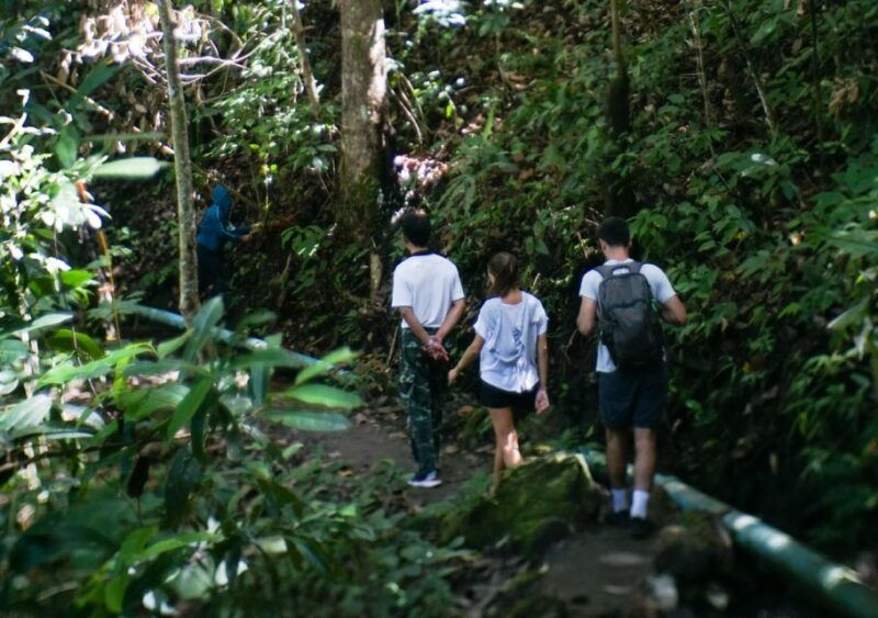 from-chiang-mai-doi-inthanon-national-park-day-trip-hike