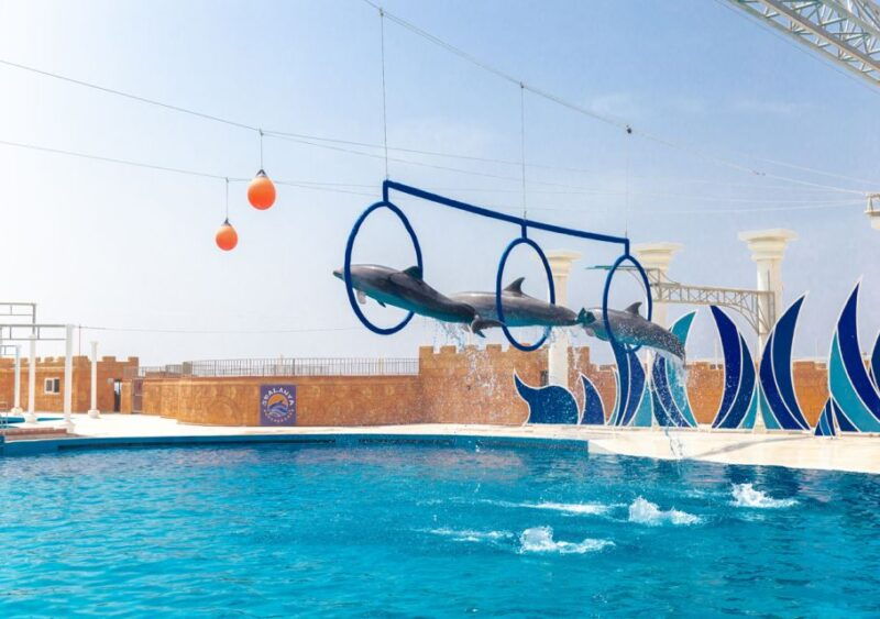 from-city-side-alanya-sealanya-dolphin-show-with-transfers